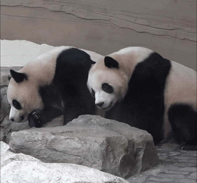 RaJLUf.gif
