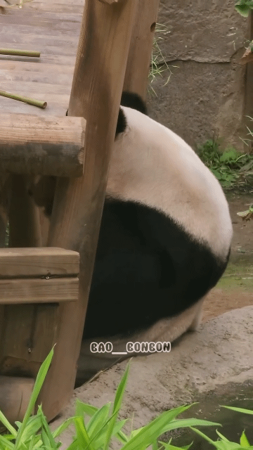 RbUZlM.gif