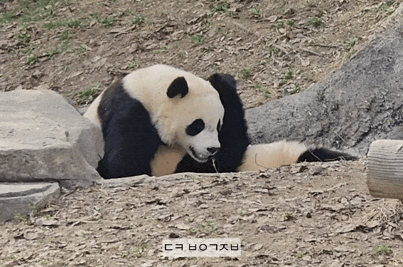 RbmWVO.gif