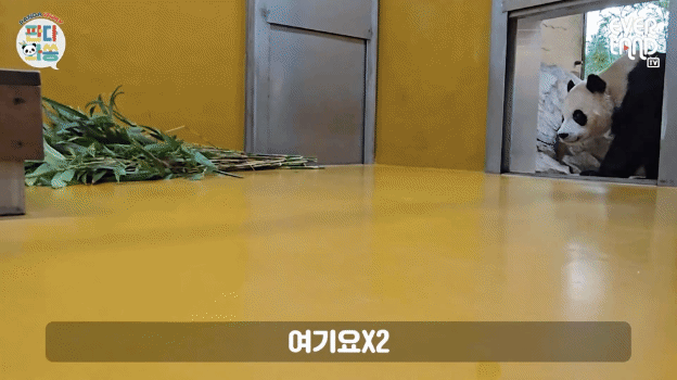 RiZprk.gif