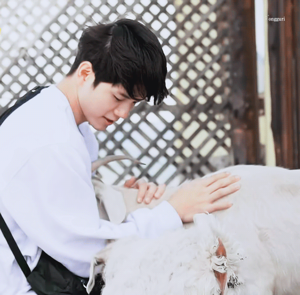 RmCJEk.gif