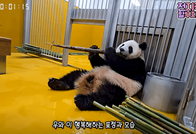 RmwtZU.gif
