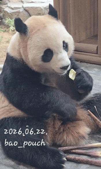 RnLJcL.gif