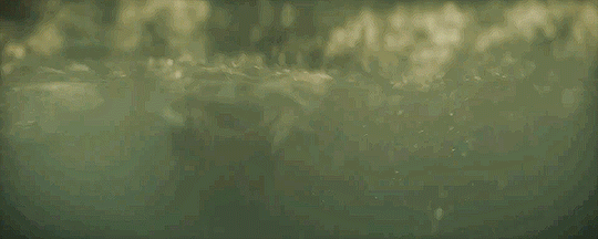 RnkCON.gif