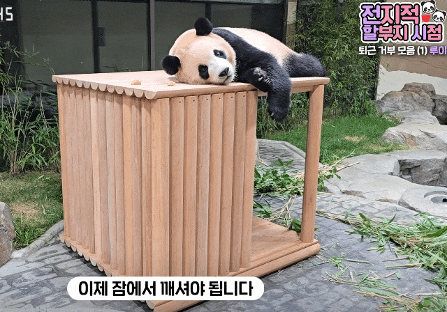 RpqlMr.gif
