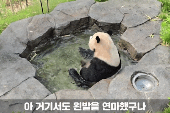 RtBNtV.gif