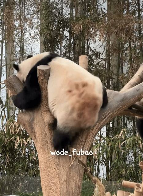 RtaHQT.gif