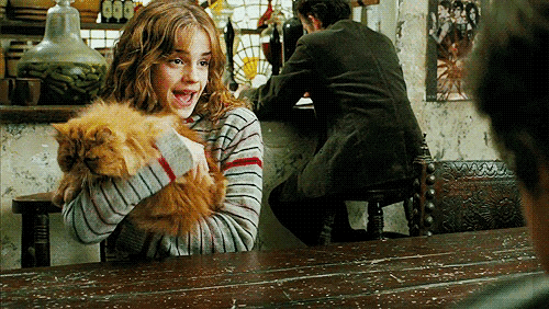 SAOcjN.gif