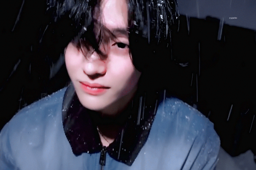 SAfMCF.gif