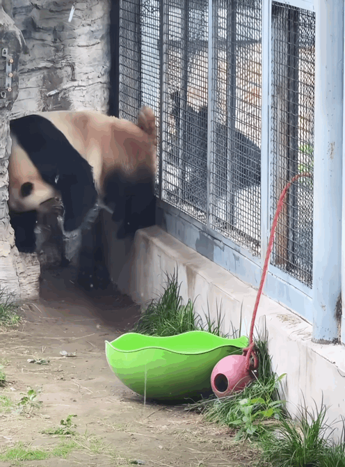 SOMTHR.gif