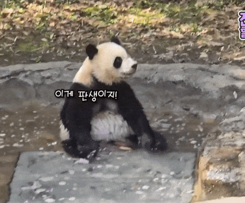 SRWgJI.gif