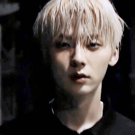 SRgANN.gif