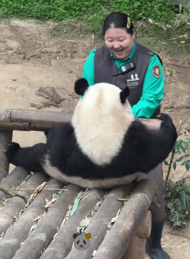 SYtoiI.gif