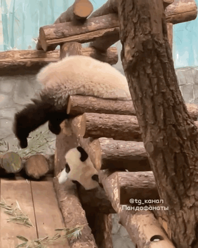 SorQvU.gif