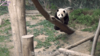 TBZafw.gif