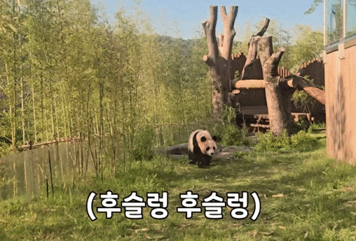 TGynPV.gif