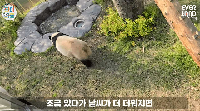 TIXibG.gif