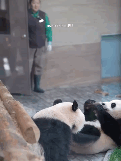 TKBDzb.gif
