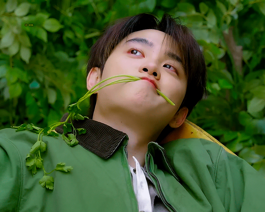 TKRgxs.gif