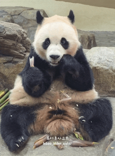 TMgvFY.gif