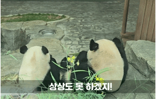 TNYUZR.gif