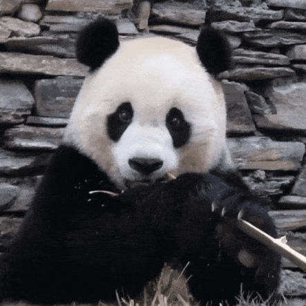 TOFuJy.gif