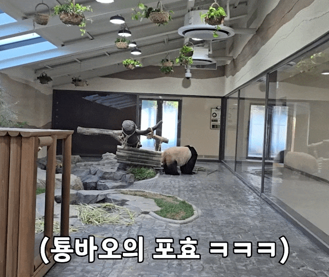 TQwPAH.gif