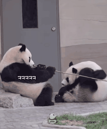 TYPbkL.gif