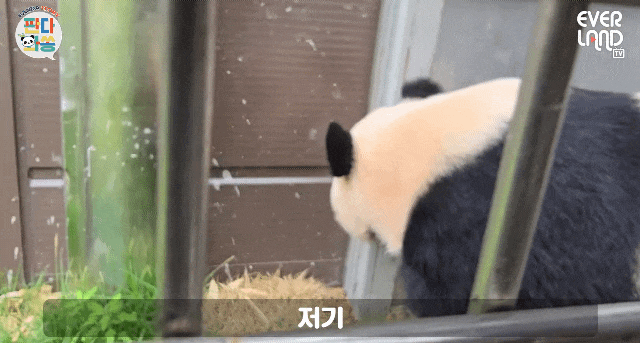 TayDiQ.gif