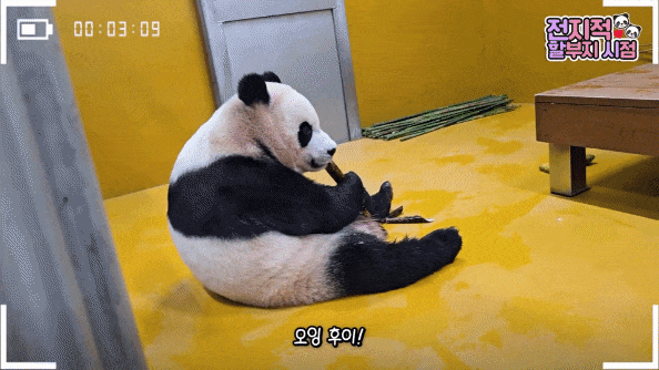 TgWxDa.gif