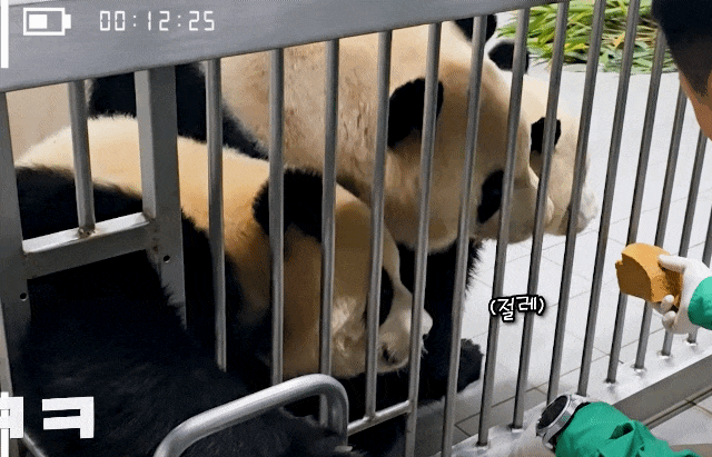 TtHHxl.gif