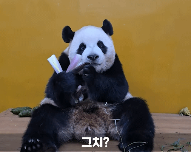 TyiwpZ.gif