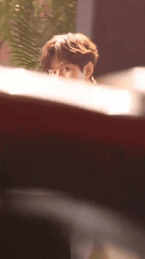 UDZvKv.gif