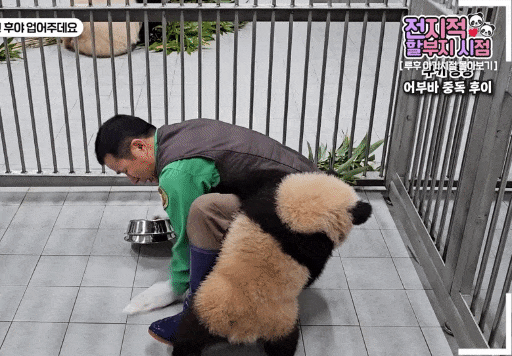 UICVXn.gif