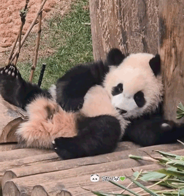 UNQjuL.gif