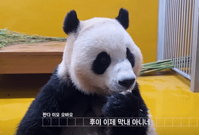 UPQHge.gif