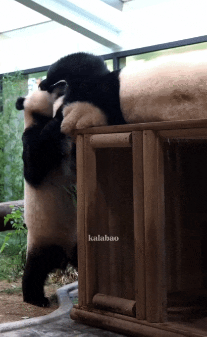 UUhkTk.gif