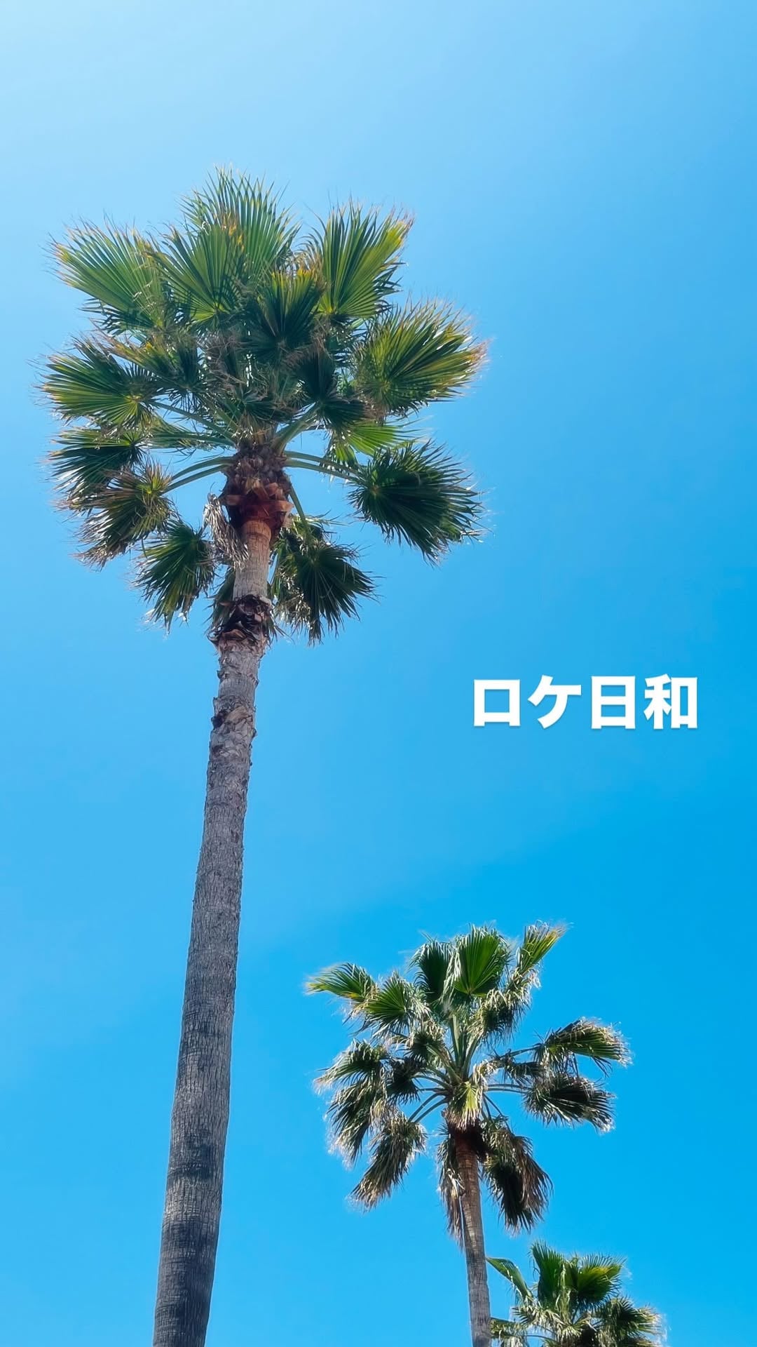 UXUIju