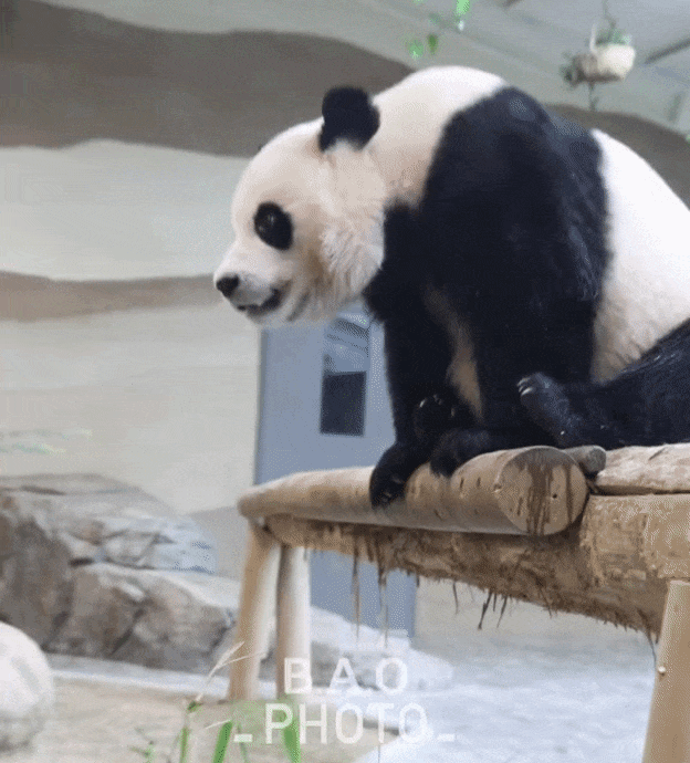 UYdqYl.gif