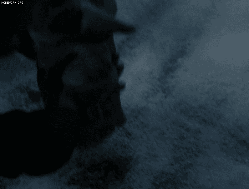 UgBCzN.gif