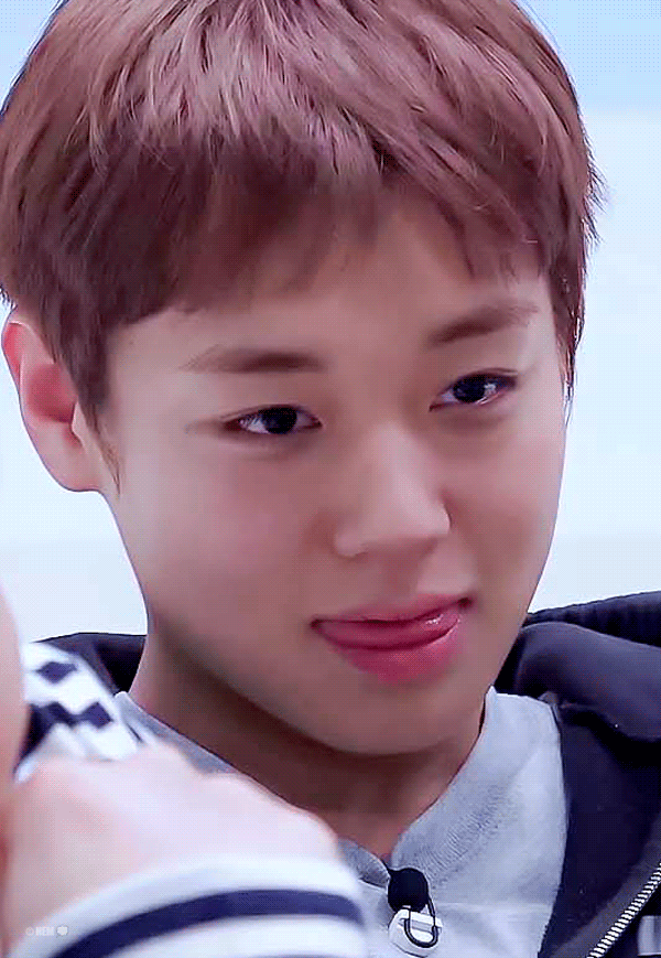 UipevP.gif