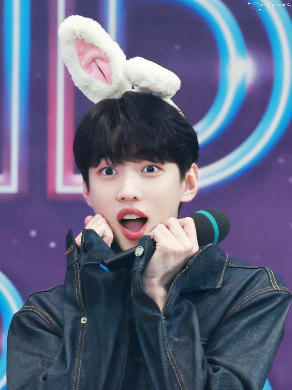 더쿠 이미지 보기