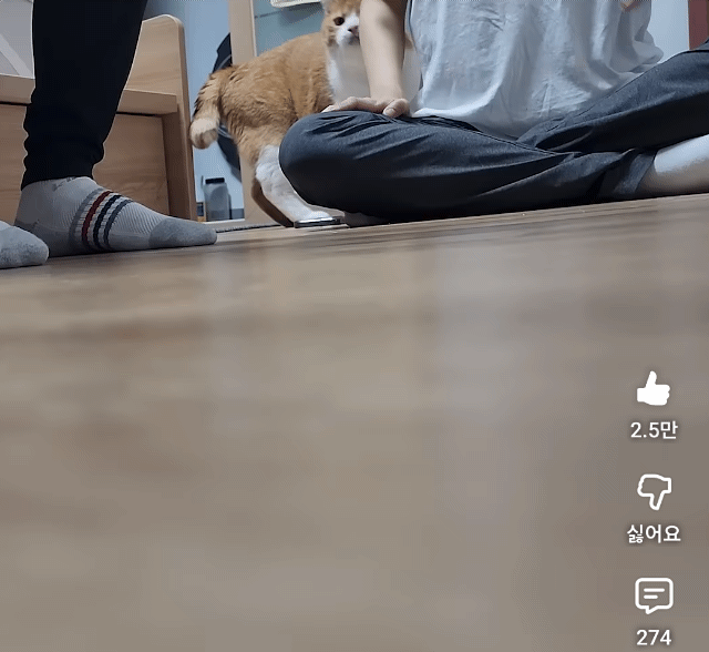 UkiQmF.gif