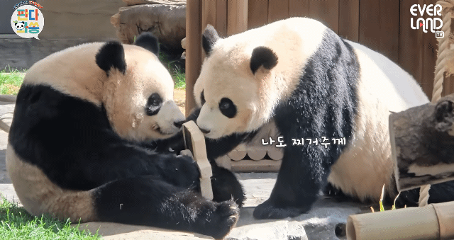UqzGmT.gif
