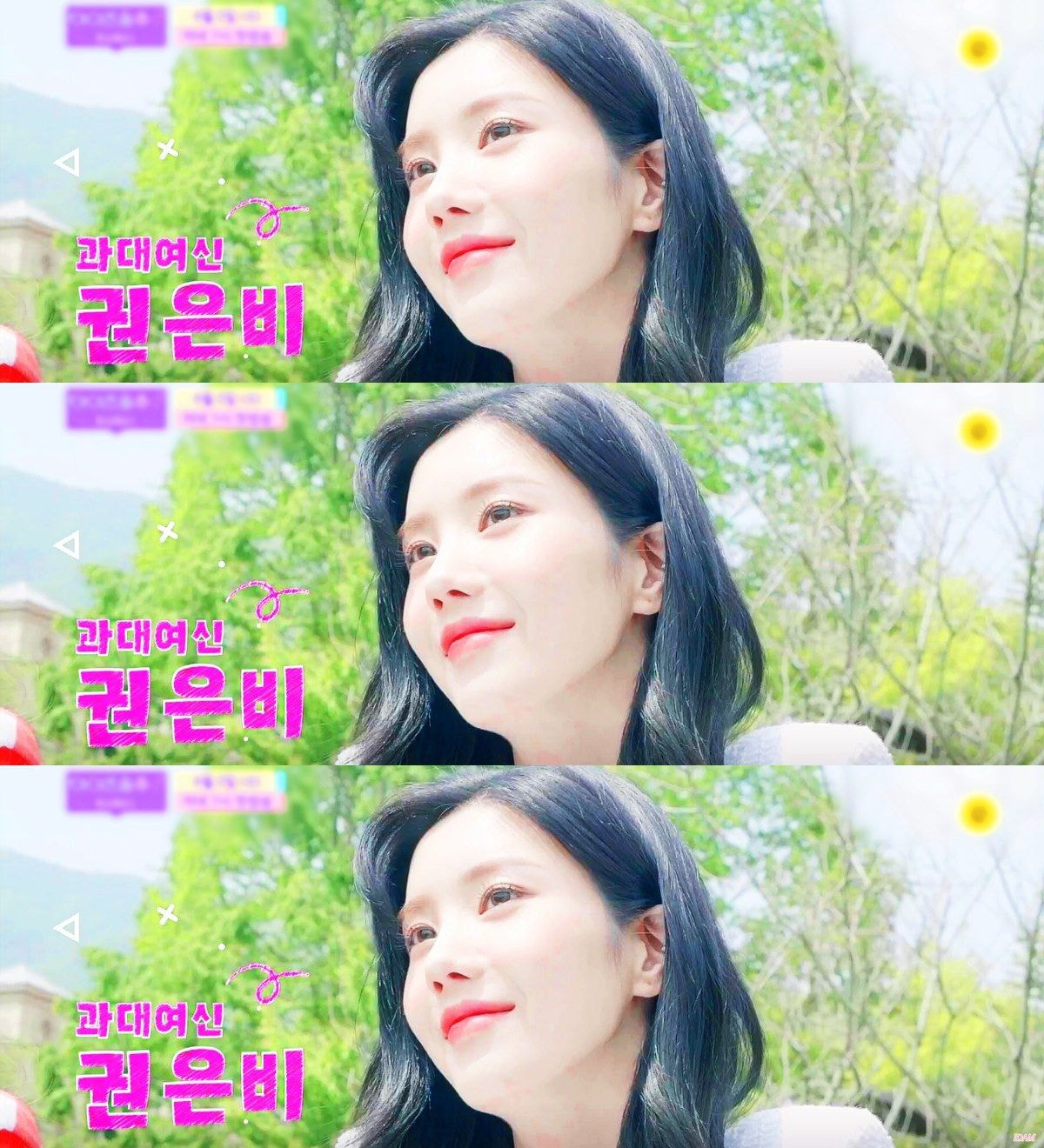 더쿠 이미지 보기
