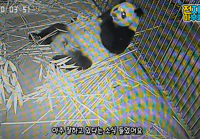 VFPqoI.gif