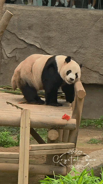 VIJkWL.gif