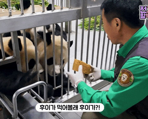 VITQVW.gif