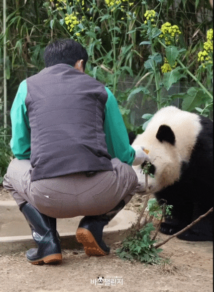 VPAYjR.gif