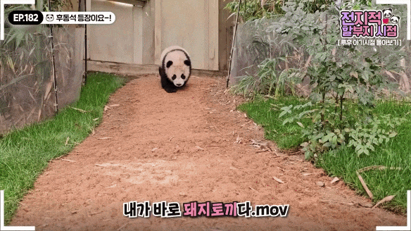 VPOMCq.gif